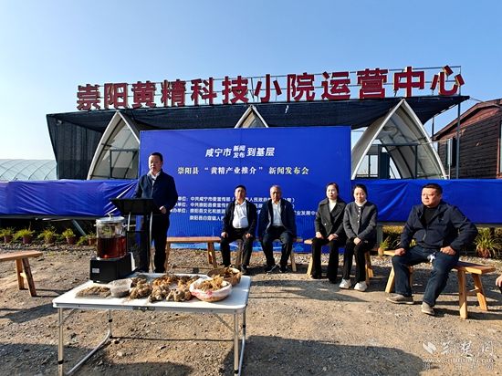 崇陽 黃精.jpg.jpg