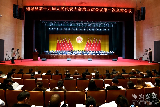 通城兩會(huì)1.jpg